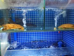 -王家大院·南京菜(湛江路总店)