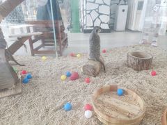 -海合安武汉极地海洋公园