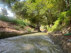 -天目湖松岭竹海漂流
