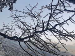 -梵净山旅游区