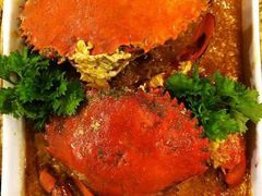 -茉莉.Red Crab
