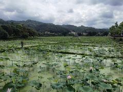-红山村