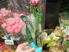 -盒马鲜生(双清路店)