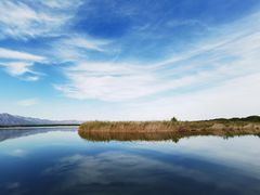 -野鸭湖国家湿地公园