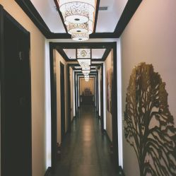 -脉道美容养生会所