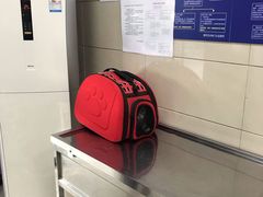 -申普宠物医院·眼科·心内科·影像科(普陀分院)