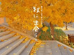 -云蒙山风景区