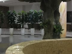 -加林娜泥浴水疗