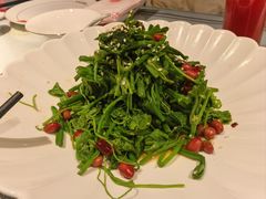 -潇湘甲鱼村(清河店)