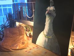 -三秋舍·梦幻岛(小西路店)