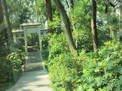 -岳麓山风景名胜区