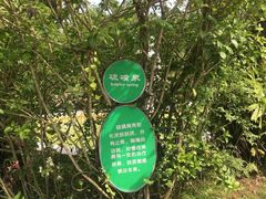 -汕头莲花山度假村温泉