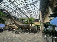 -国家自然博物馆