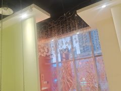 -藏猫猫咖啡主题馆(中央大道店)