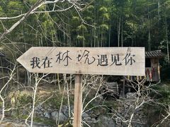 -林坑古村落