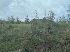 -扁都口生态休闲旅游区