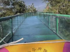 -千岛湖天屿景区