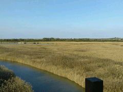 -东滩湿地公园观海楼餐厅