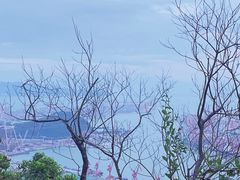 -小南山公园