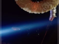 -音乐房子(鎏嘉码头店)