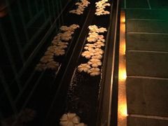 -Dragonfly悠庭·按摩Spa(静安嘉里中心店)