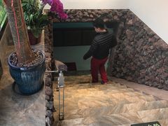 -米卢宠物公园(广华居店)