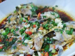 -全乐鱼馆·淳牌有机鱼直营店