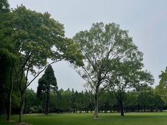 -上海滨江森林公园