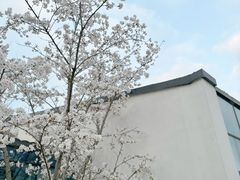 -青果巷历史文化街区