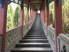 -龙口南山旅游景区