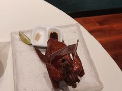 -侨美·唐荔园·40年地道粤菜