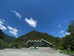 -牛背梁国家森林公园