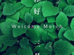 -刘记特色牛杂面·直营店