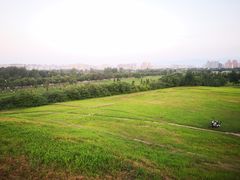 -汉长安城未央宫国家考古遗址公园