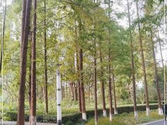 -苏州河梦清园环保主题公园