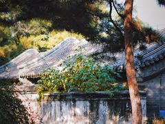 -颐和园