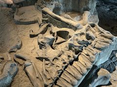 -自贡恐龙博物馆