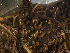 -台山第一家兴华黄鳝饭·黄鳝婆(开平店)