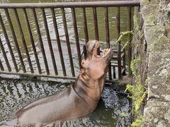 -海南热带野生动植物园