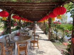 -同銮特种养殖场·龙虾垂钓