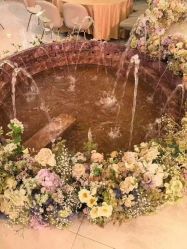 -爱尔乐美孕产瑜伽·普拉提