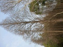 android_upload_pic-东湖落雁景区