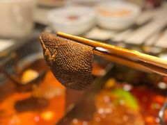 -海底捞火锅(金光华店)