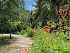 -三亚亚龙湾金棕榈度假酒店