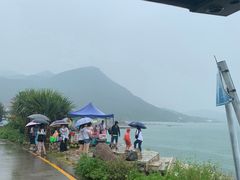 -杨梅坑