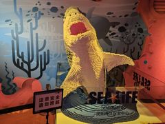 -沈阳海洋探索中心