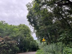 -南京市江宁方山