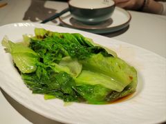 豉油淋生菜-喜势点·糖沙翁手工茶点·本地人茶居(永庆坊店)