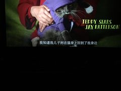 -德呈华业影城(爱琴海LUXE巨幕店)