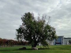 -南京邮电大学(仙林校区)